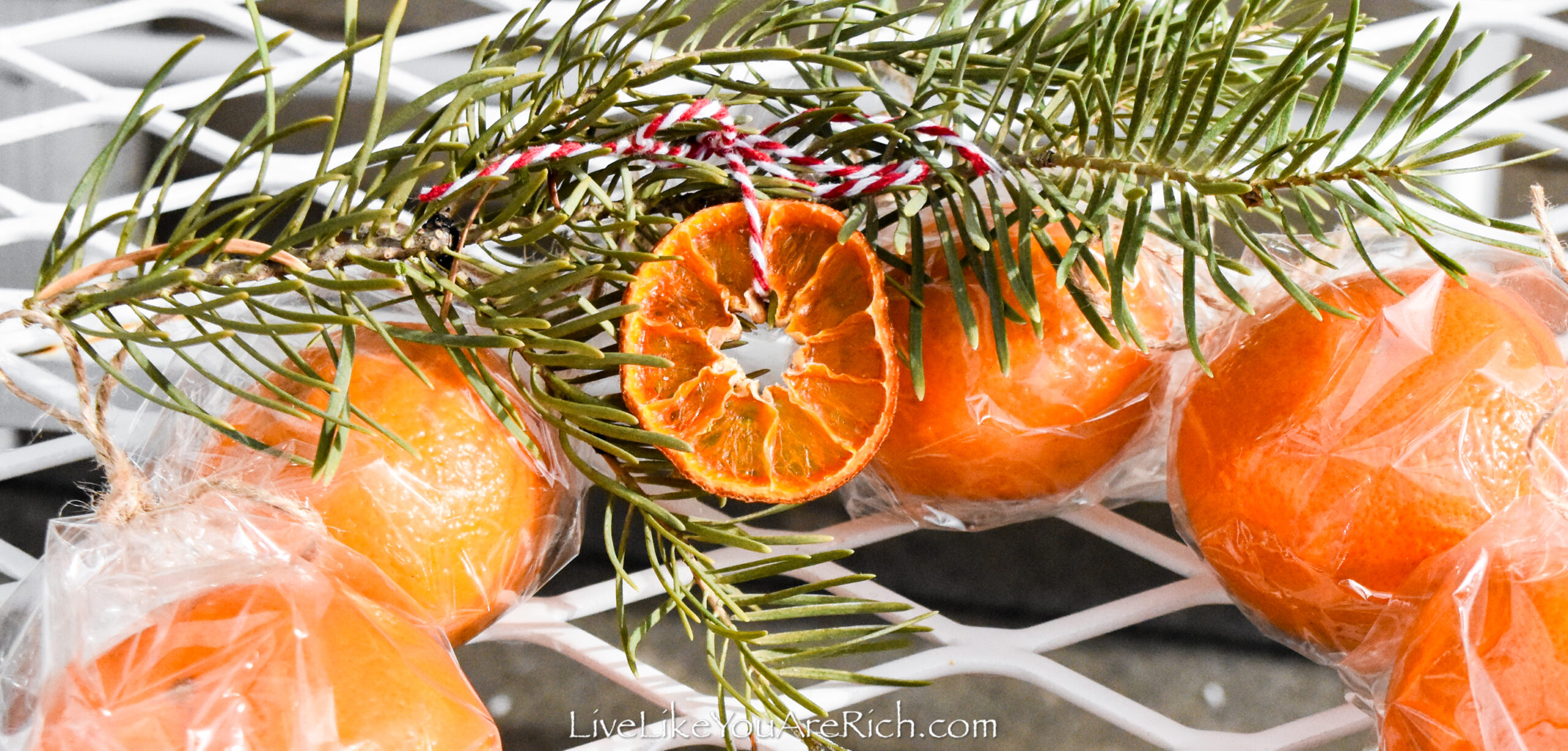 How to Dry Clementine Slices - Live Like You Are Rich