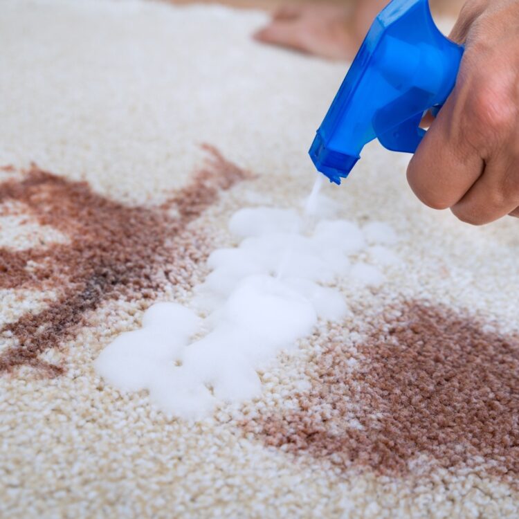 7 Uses for OxiClean That You May Not Know About Live Like You Are Rich