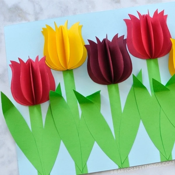 3D Paper Tulip Craft