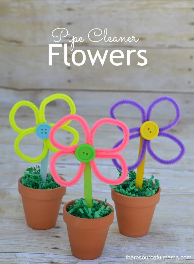 Pipe Cleaner Flowers