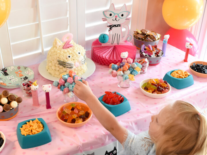 Image for Kitty Cat Party