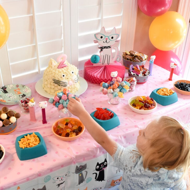 Kitty Cat Party
