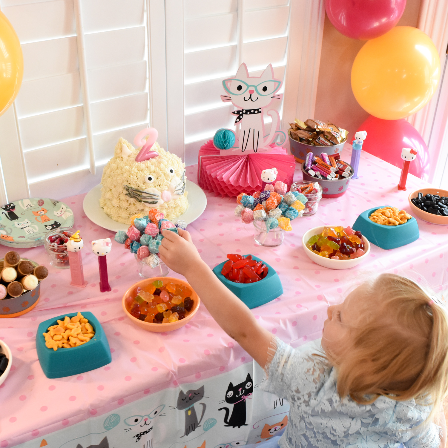 Kitty Cat Party Live Like You Are Rich