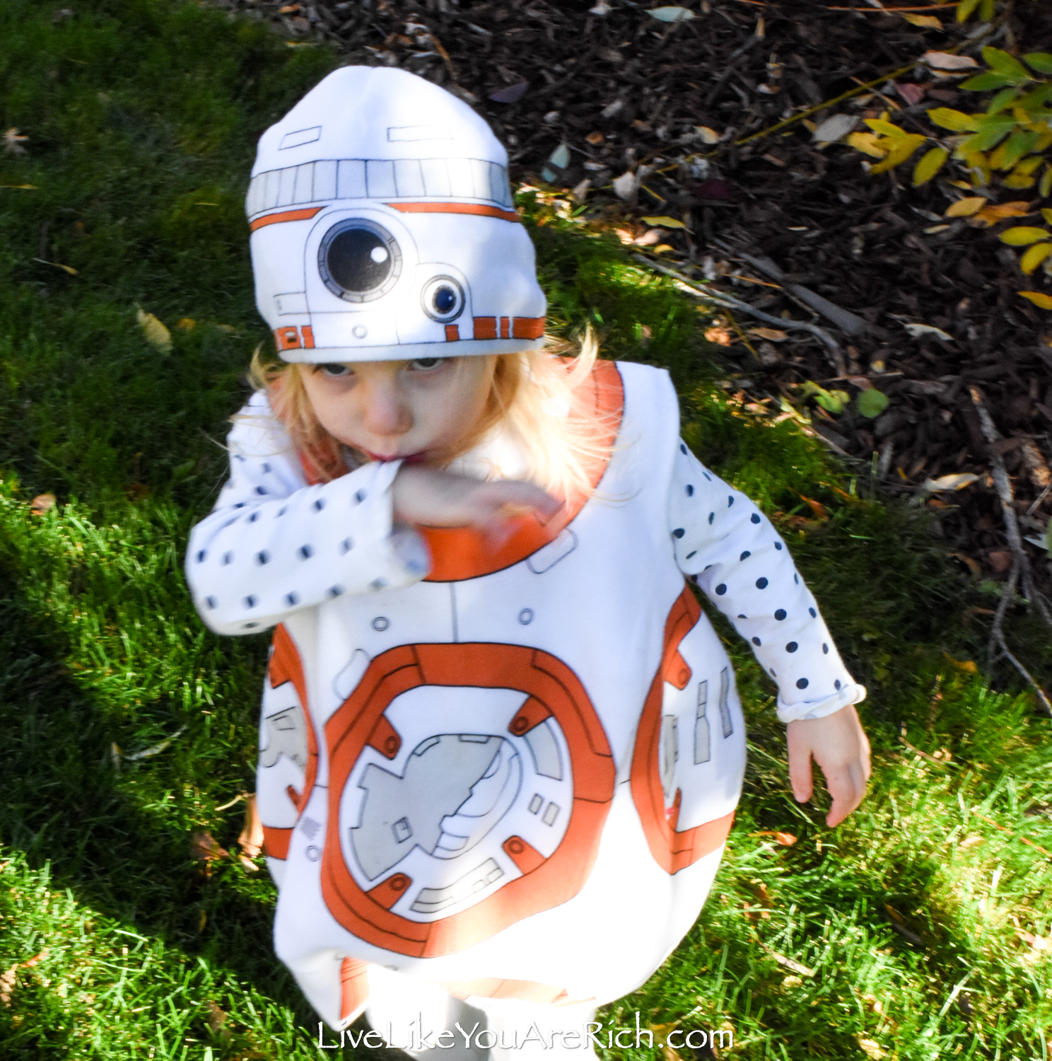 Bb8 2024 toddler costume