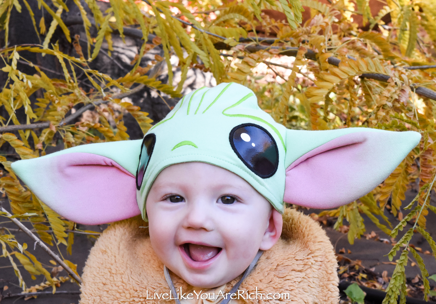 Grogu / Baby Yoda Costume