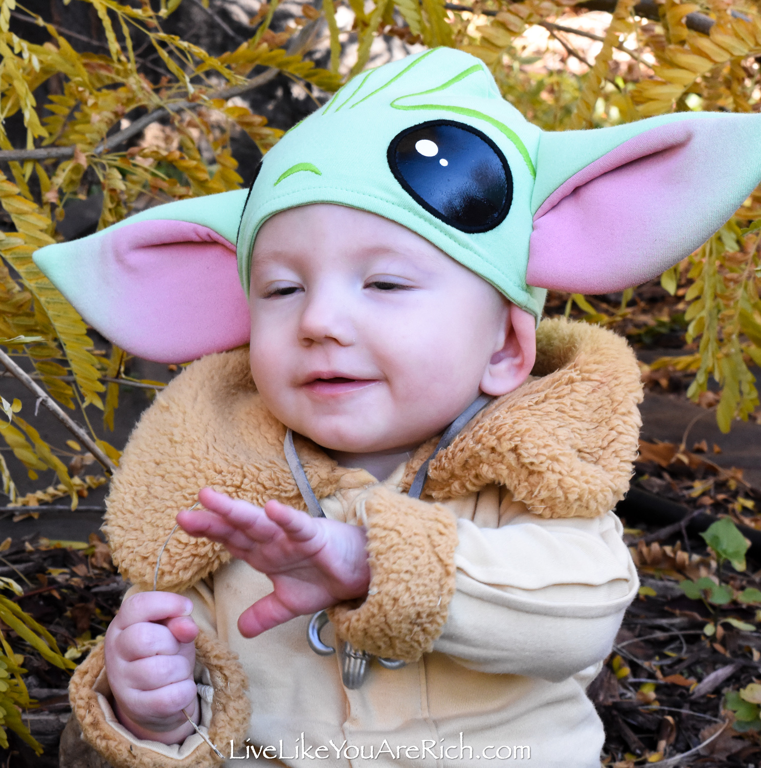 Making a Baby Yoda Costume (Bonus Cat Costume) 