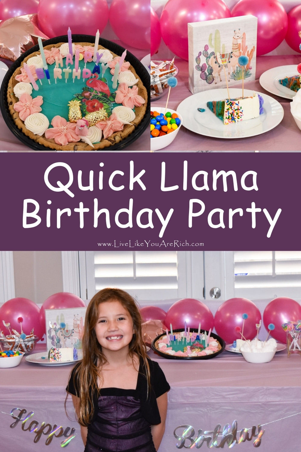 Quick Llama Birthday Party