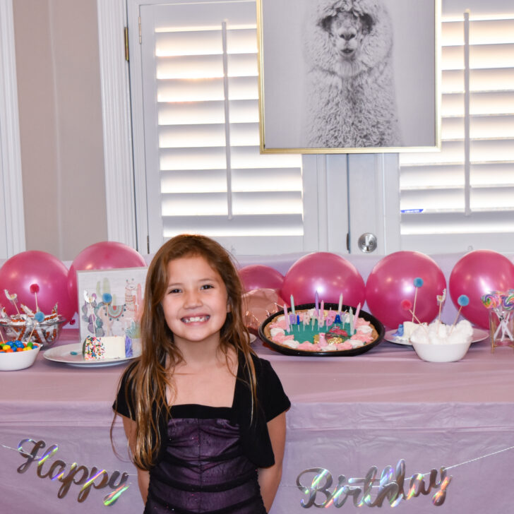 Quick Llama Birthday Party