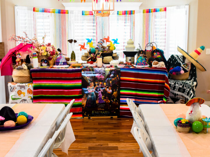 Image for Encanto Birthday Party Decorations