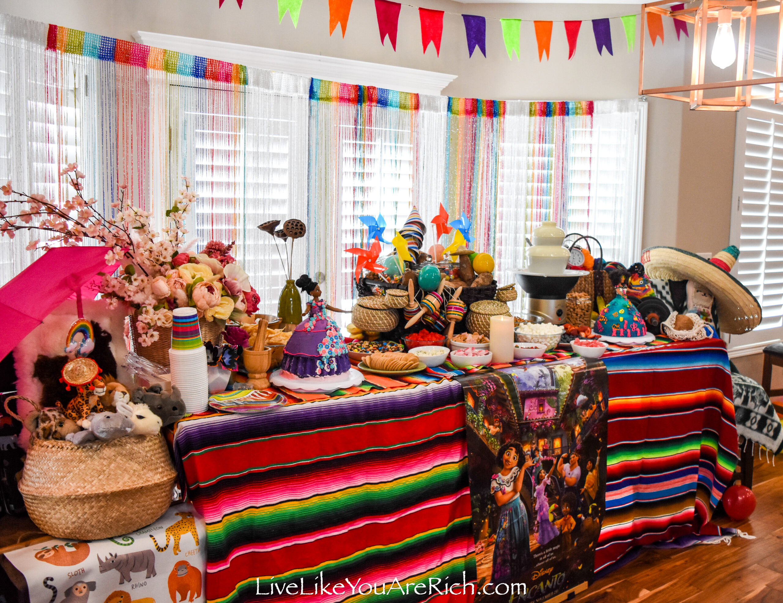 Encanto Birthday Party Decorations - Live Like You Are Rich