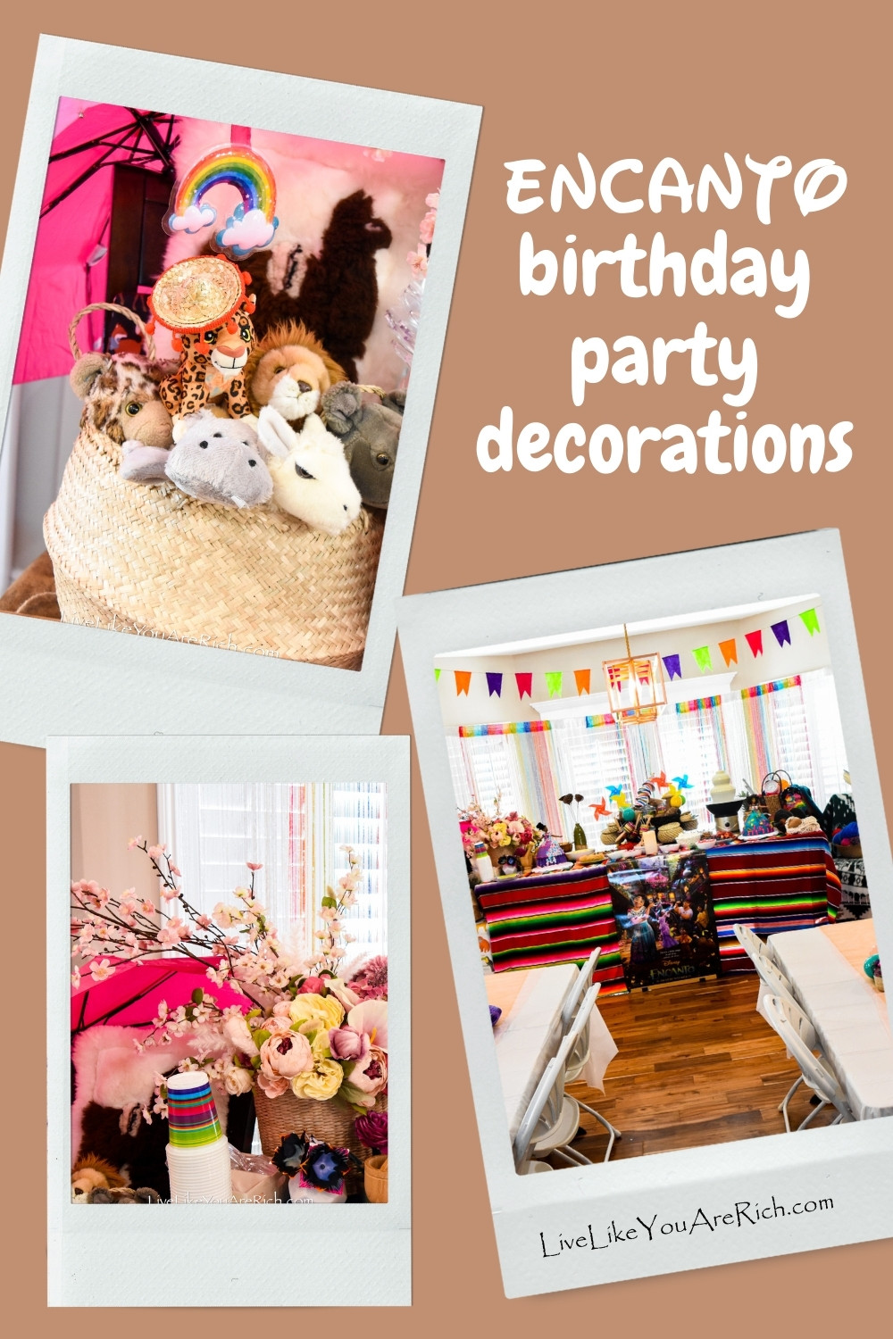 Encanto Birthday Party Decorations - Live Like You Are Rich