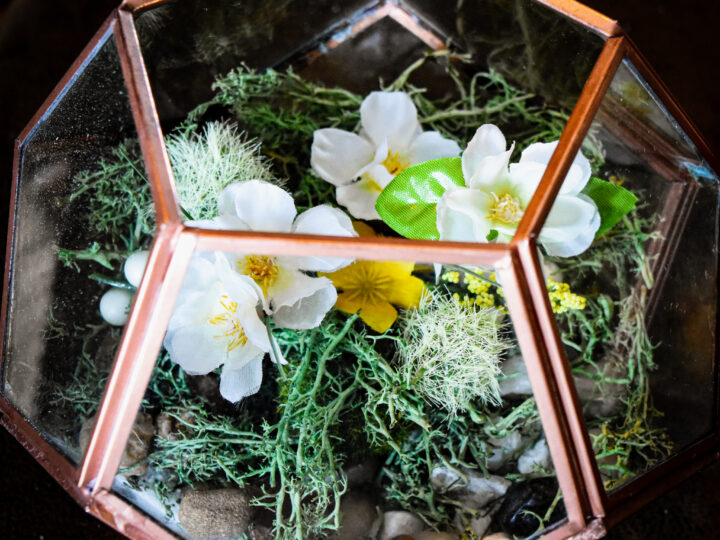 Image for Decorative Faux Flower Terrariums