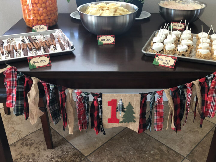 Image for Darling Camping Birthday Party&mdash;Food Ideas