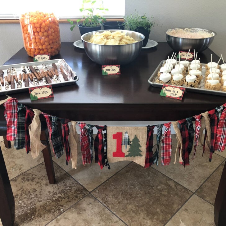 Darling Camping Birthday Party—Food Ideas