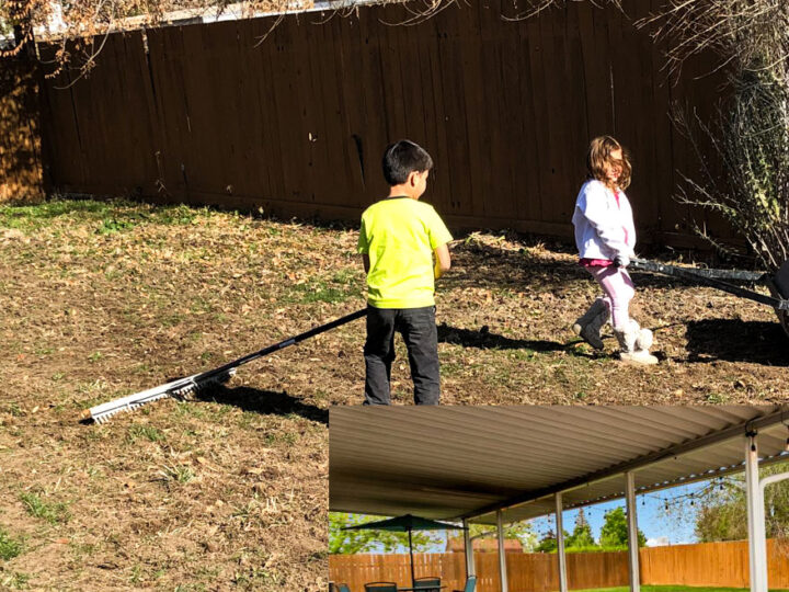 Image for Backyard Renovation on a Budget
