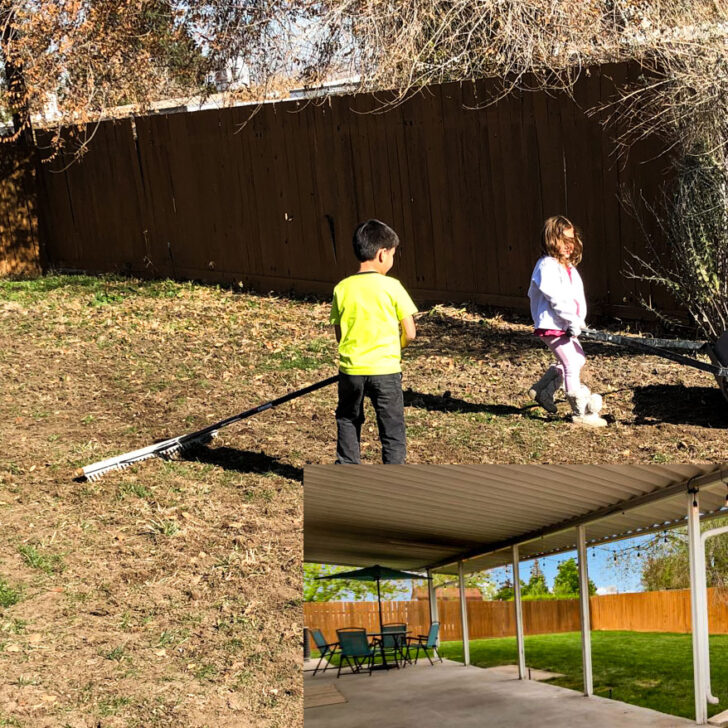 Backyard Renovation on a Budget