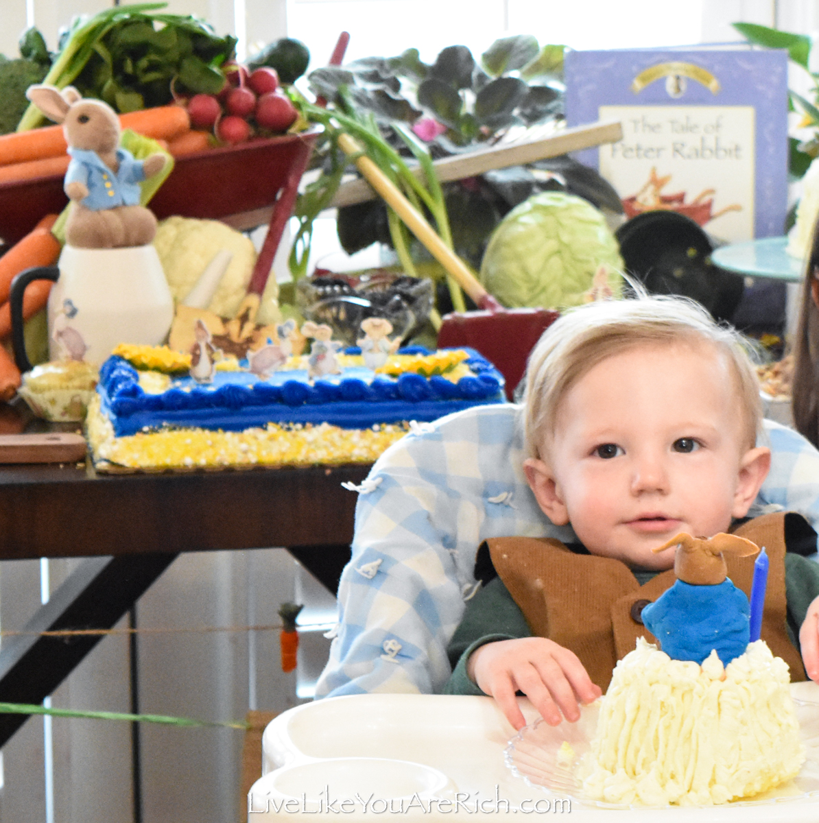 Peter Rabbit Cake — The Cake Tin