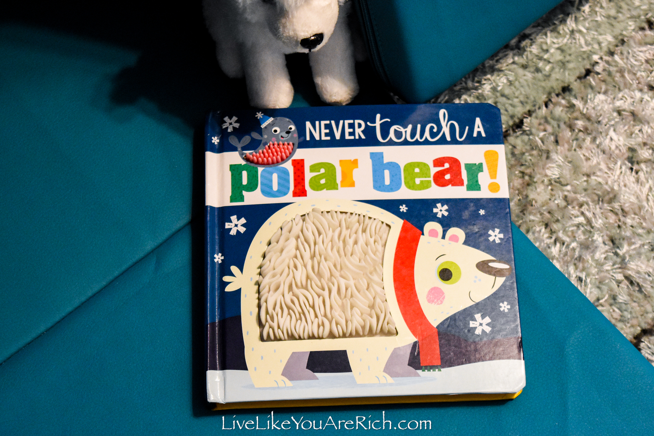 Polar bear book