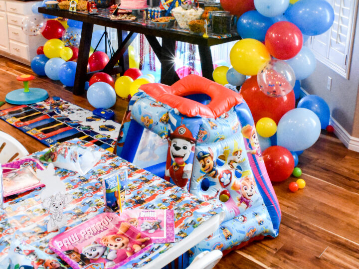 Image for Paw Patrol Birthday Party Activities and Treat Bags