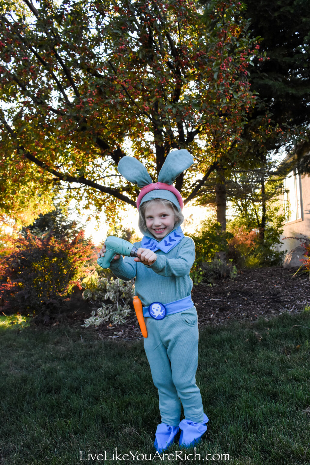 Easy No Sew Tweak From Octonauts Costume - Live Like You Are Rich