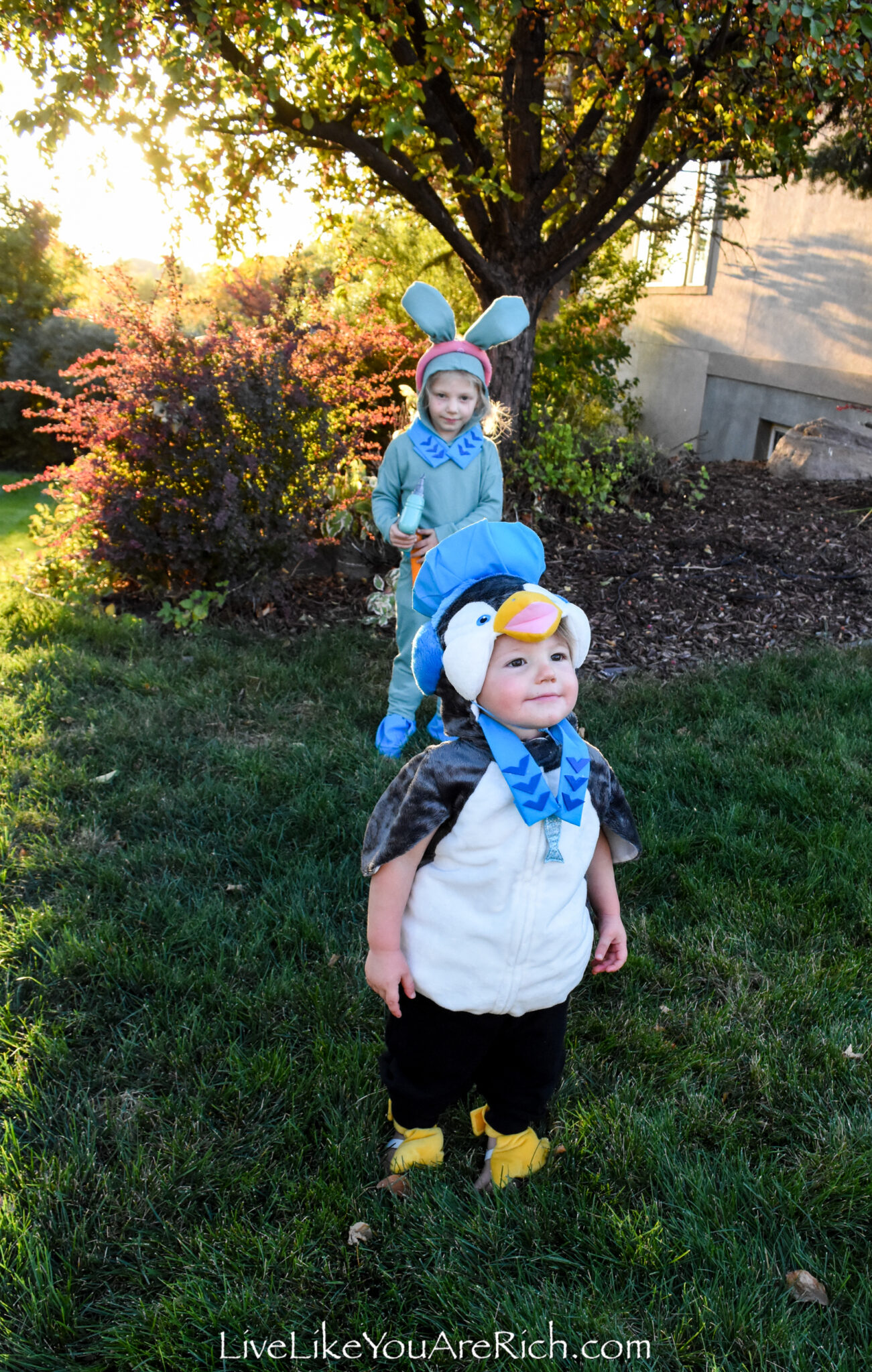 Peso from Octonauts Costume—DIY Hat and Collar - Live Like You Are Rich