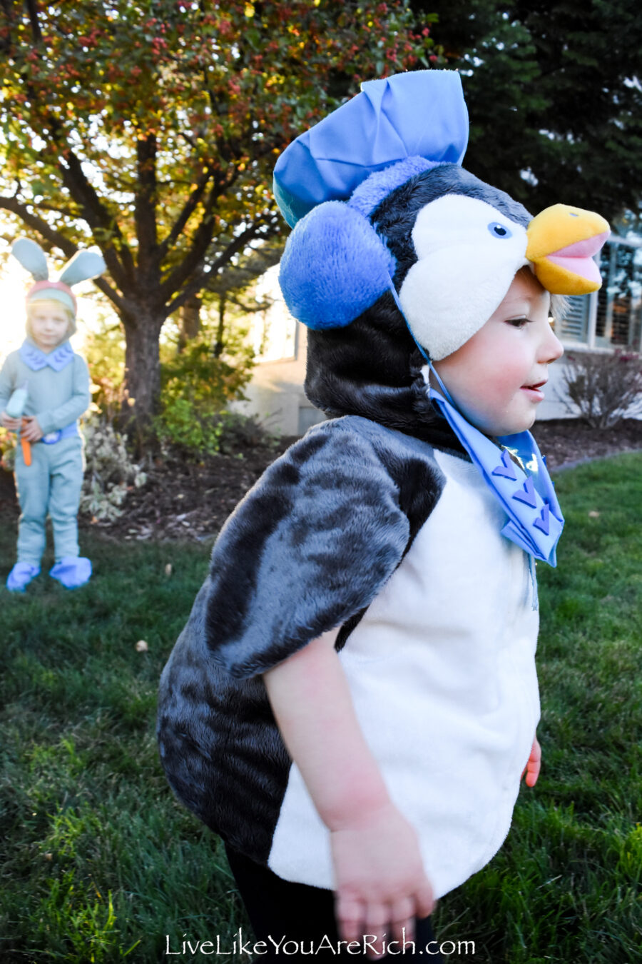 Peso from Octonauts Costume—DIY Hat and Collar - Live Like You Are Rich