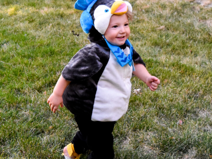 Image for Peso from Octonauts Costume&mdash;DIY Hat and Collar