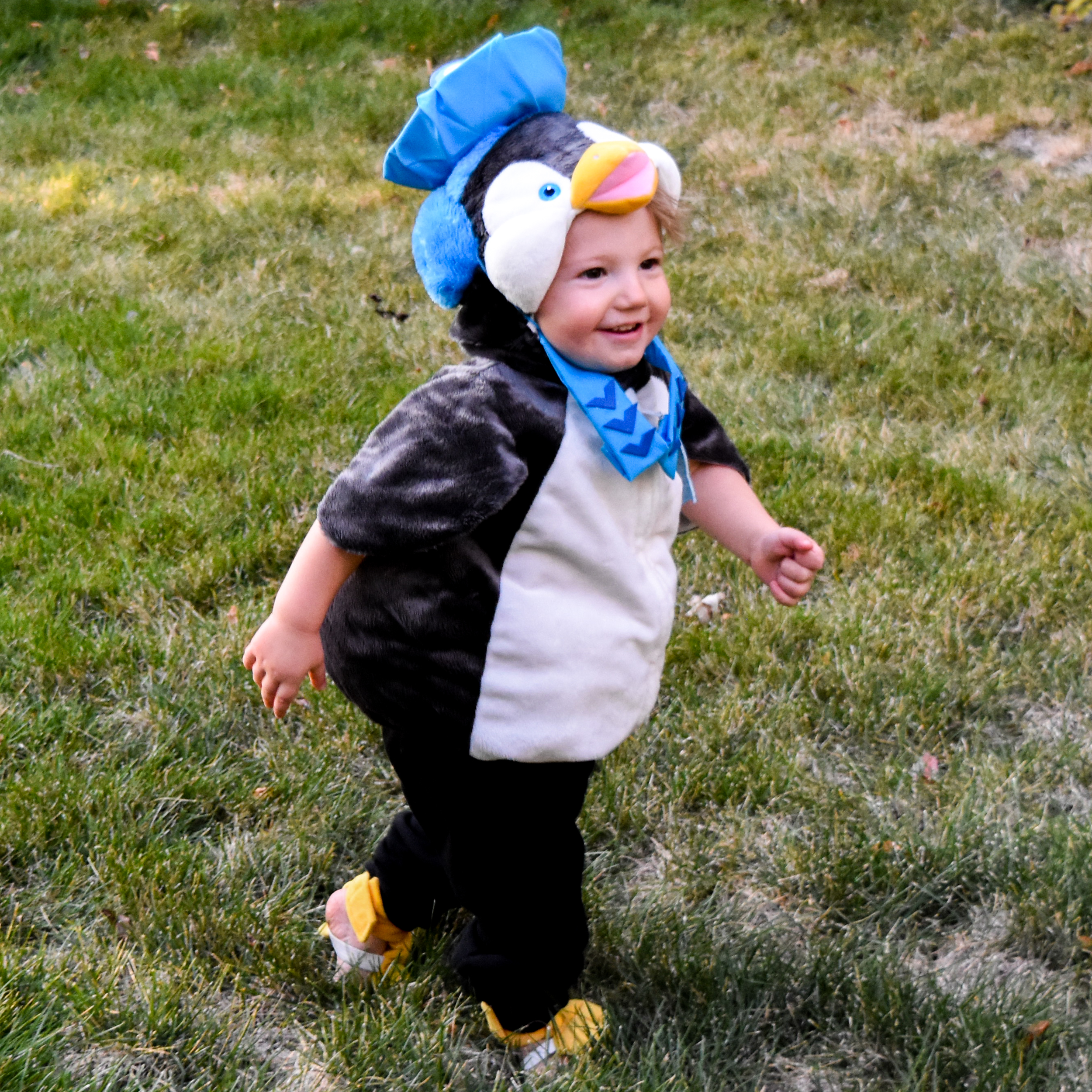 Peso from Octonauts Costume—DIY Hat and Collar