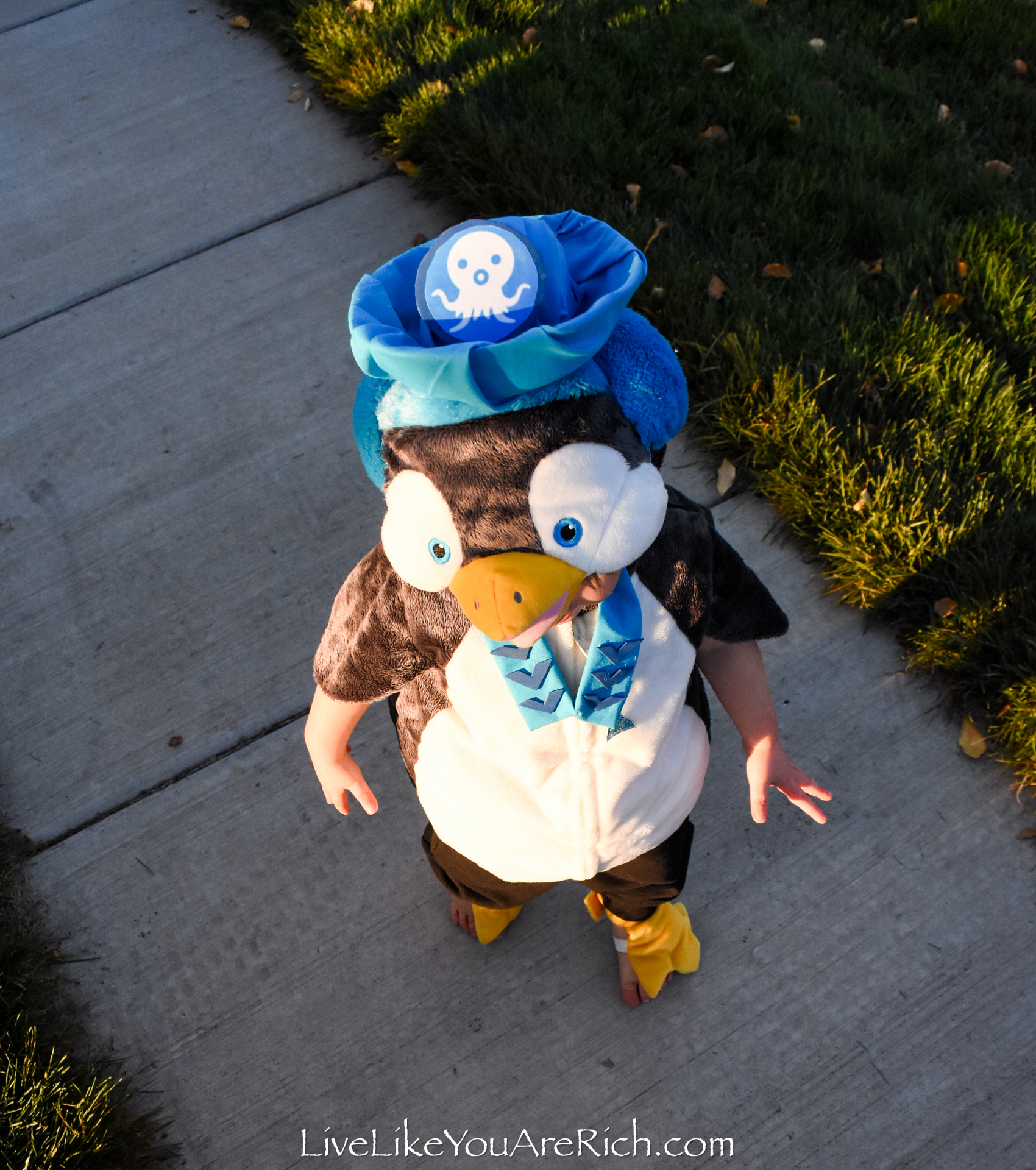 Peso from Octonauts Costume—DIY Hat and Collar