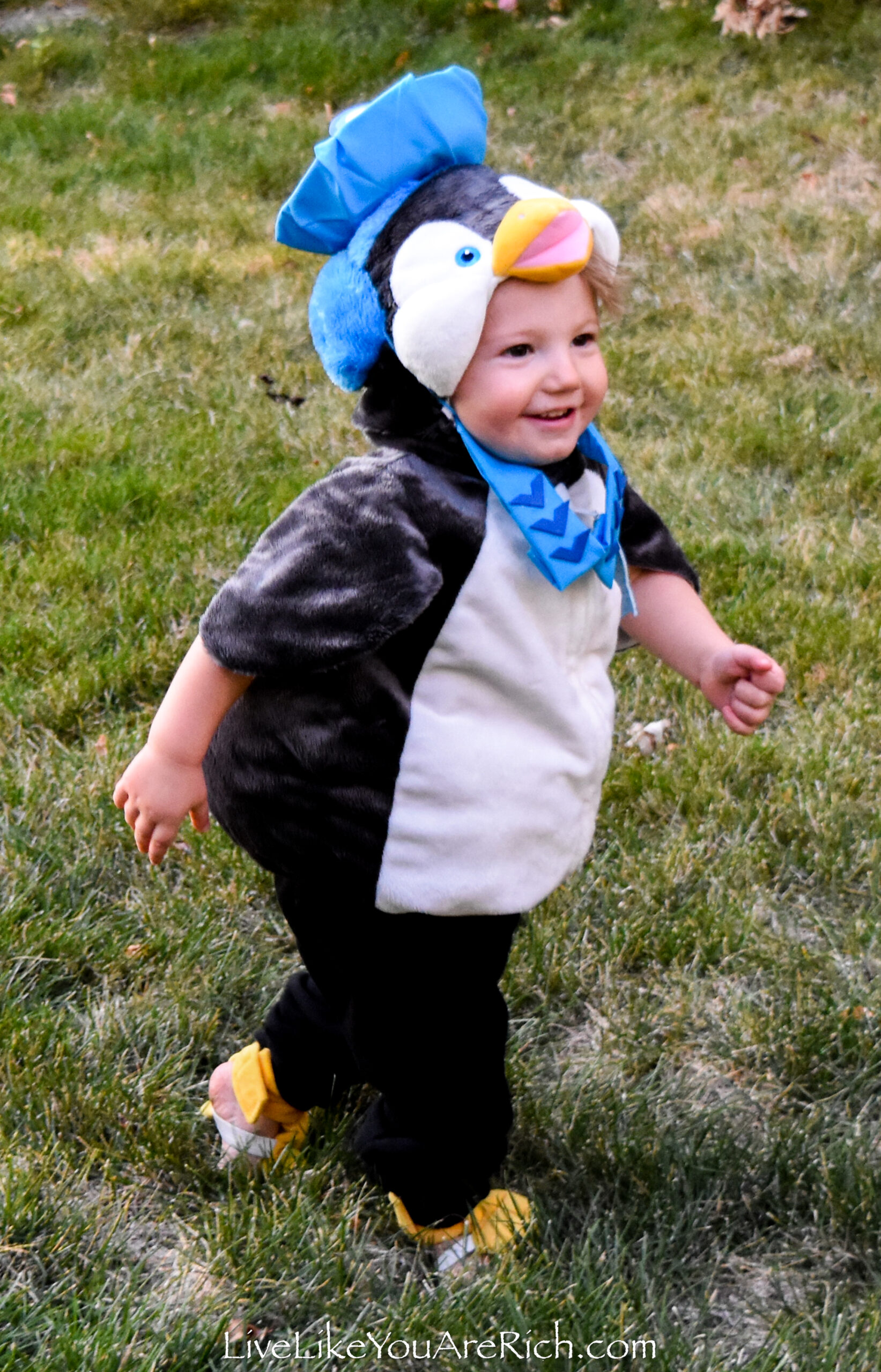 Peso from Octonauts Costume—DIY Hat and Collar - Live Like You Are Rich