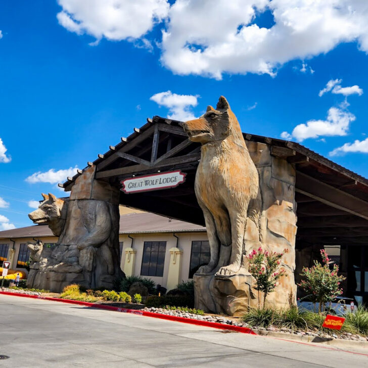 How to Save Money at The Great Wolf Lodge in Grapevine, TX