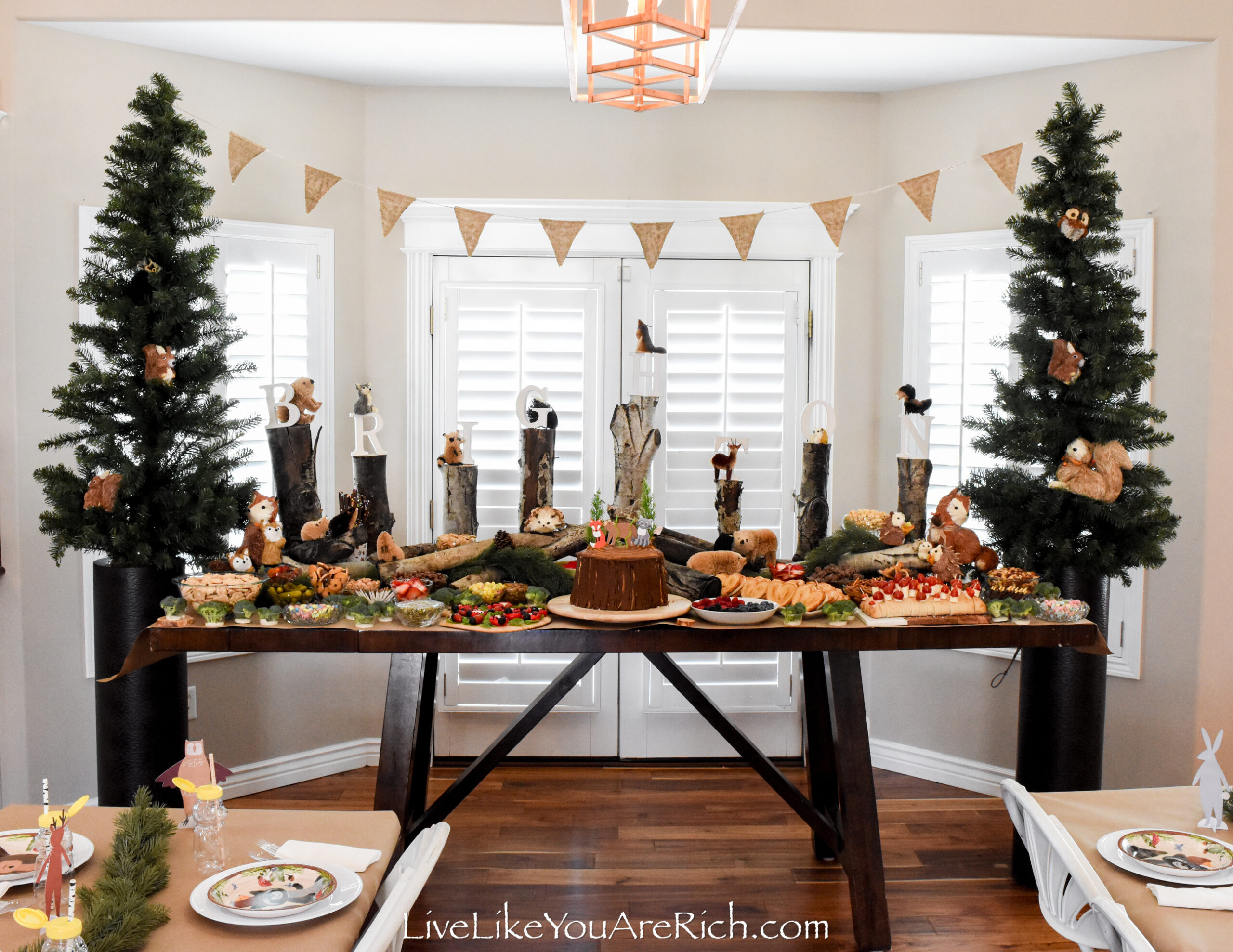 Rustic Party Decorations - DIY Decorations for a Rustic Look at a kids  Parties