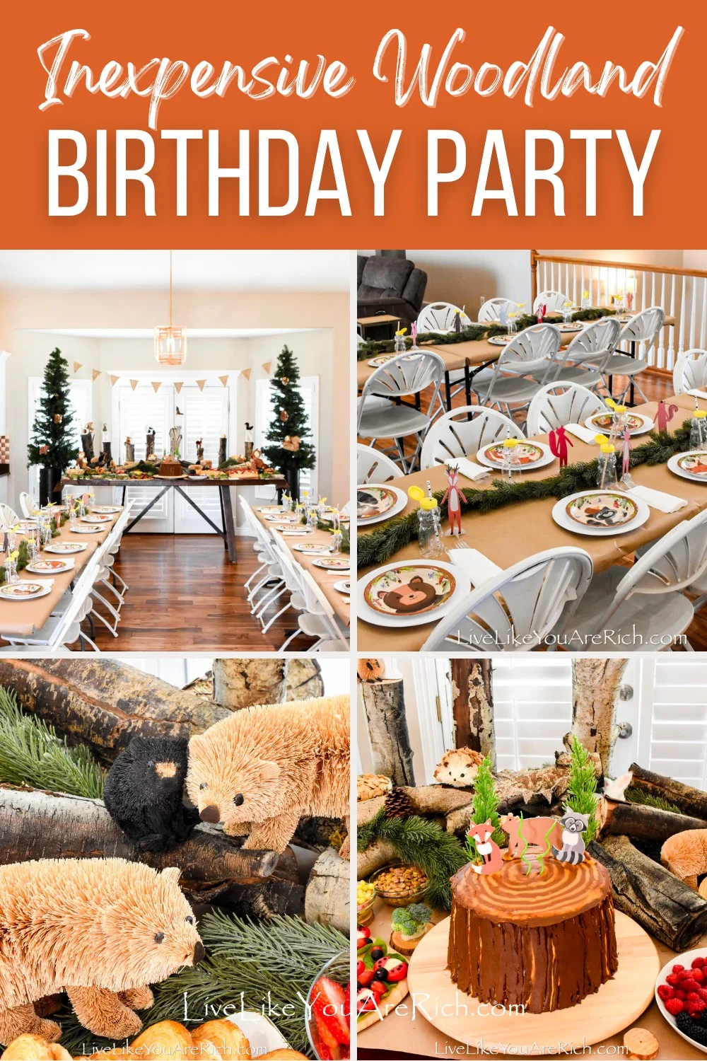 Inexpensive Woodland Birthday Party