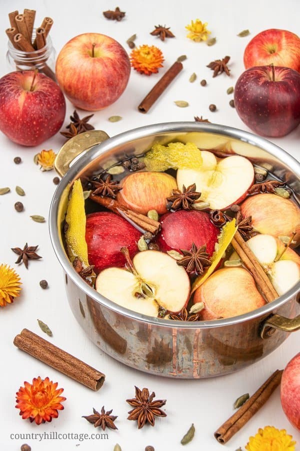 Cinnamon Orange Slow Cooker Potpourri