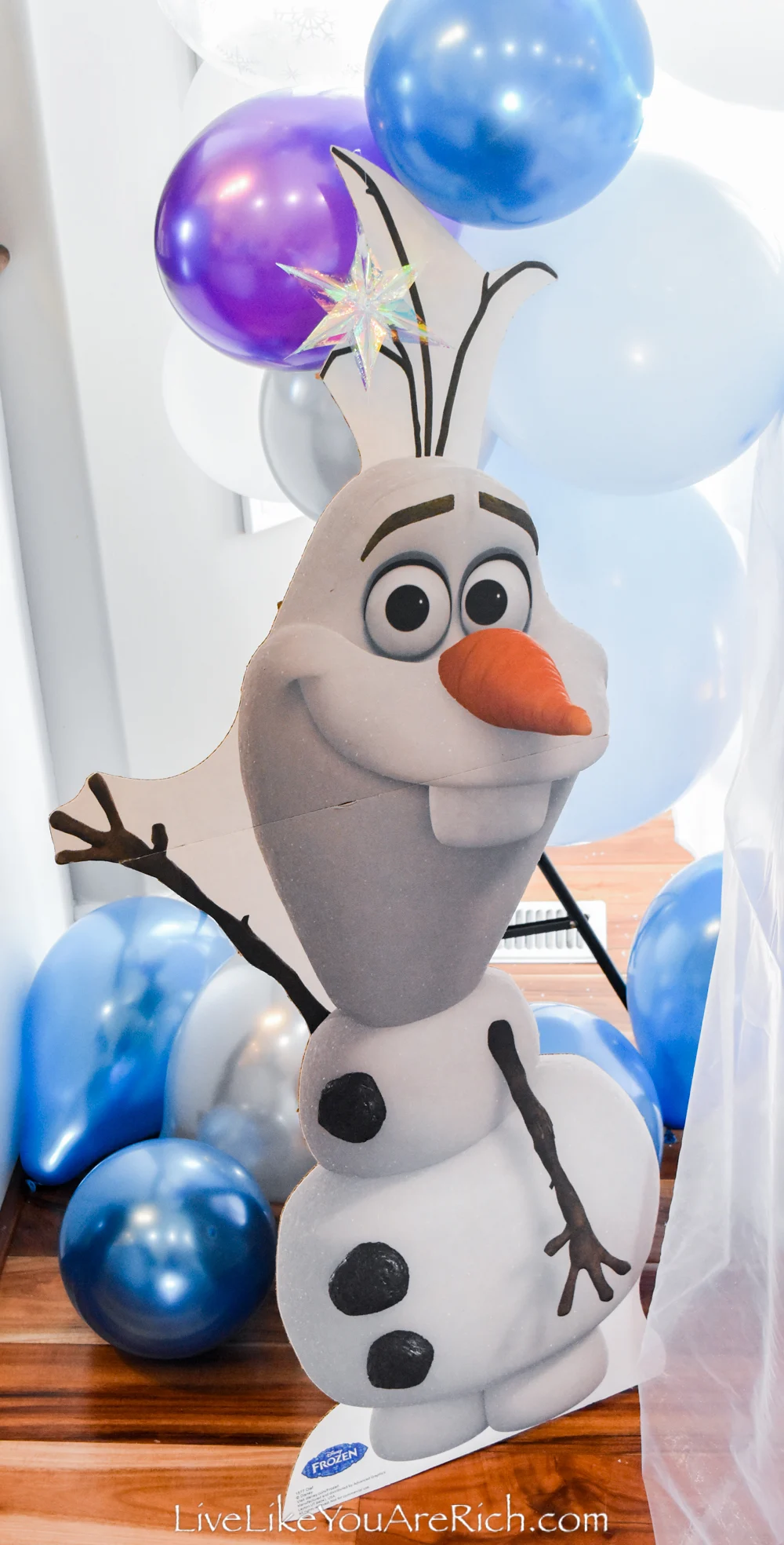 Frozen Birthday Party for a Four-Year-Old