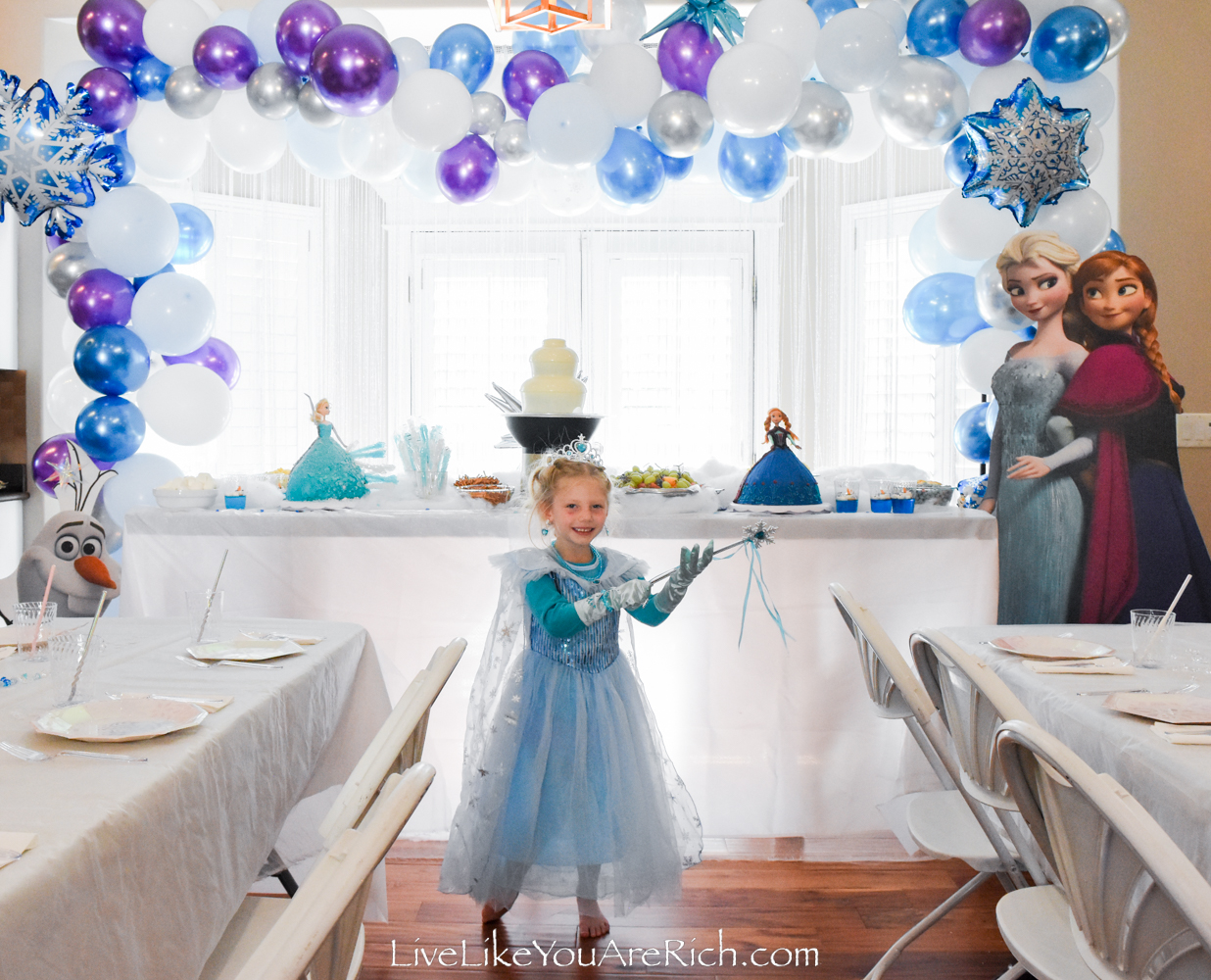 Frozen birthday party clearance dress