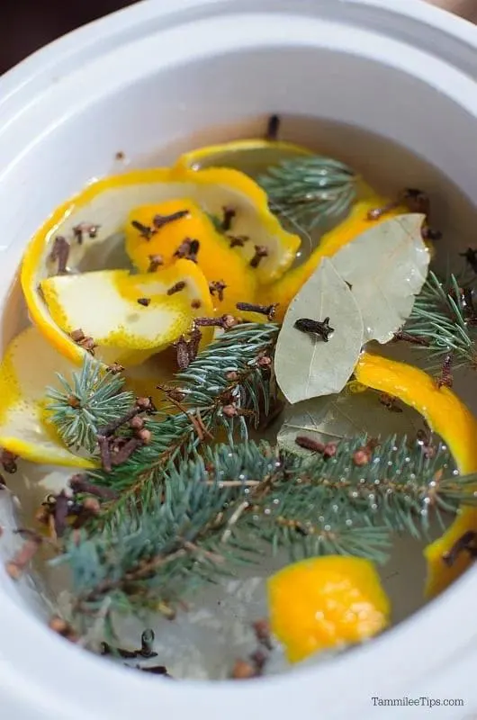 How to Make Simmering Potpourri in the Crock Pot