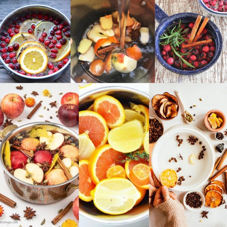 19+ Easy Stovetop Potpourri Recipes for Fall