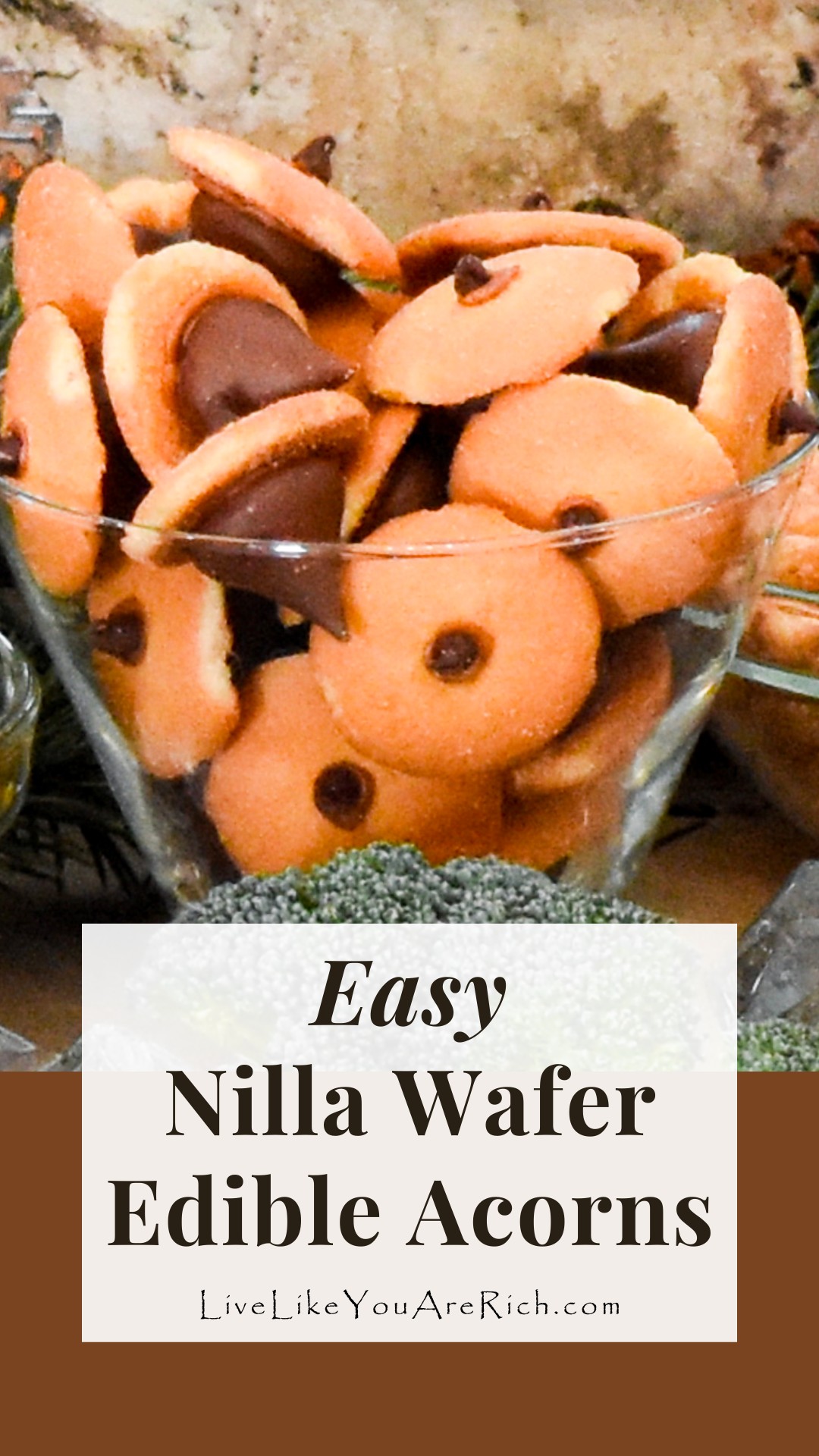 Easy Nilla Wafer Edible Acorns