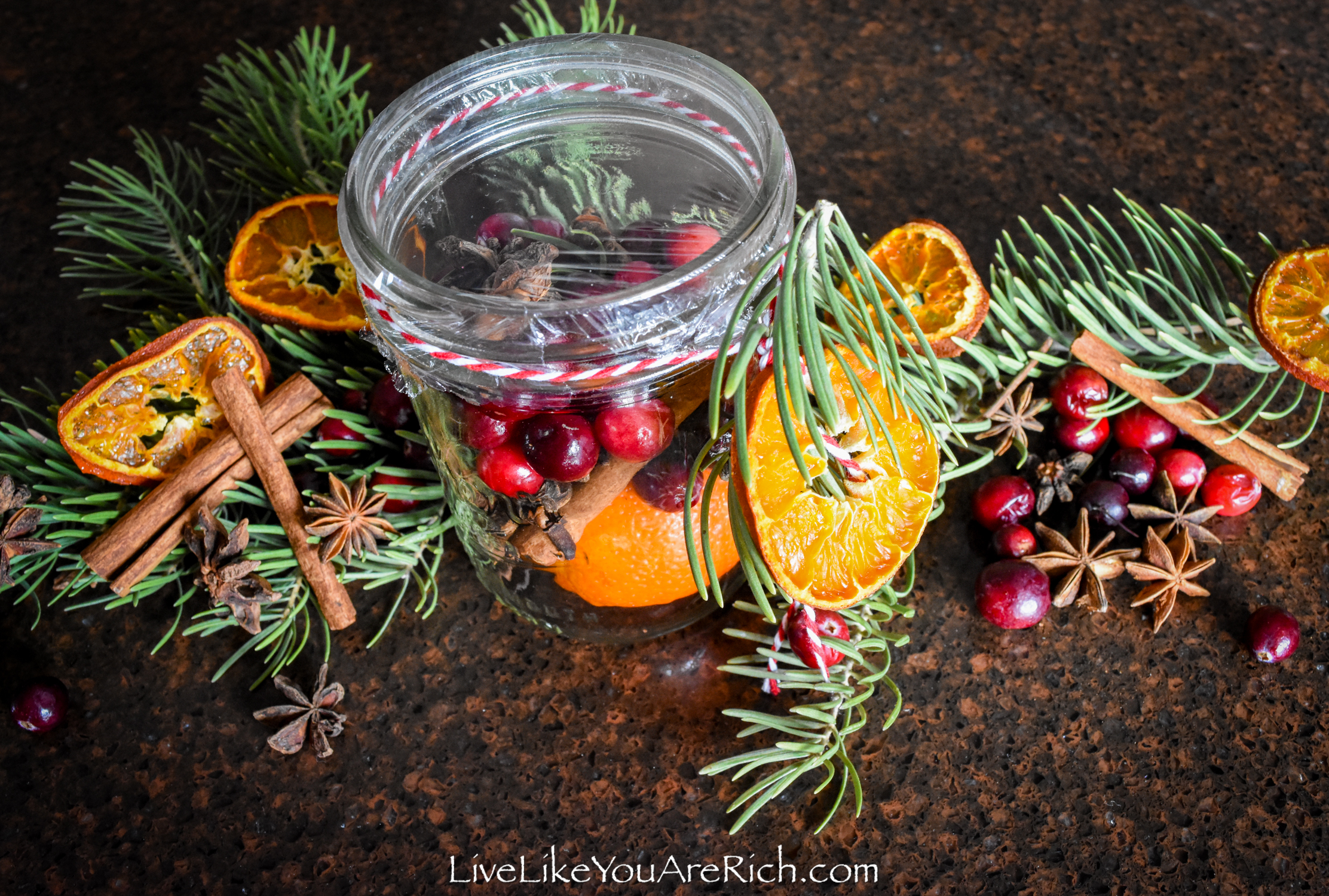 Holiday Stovetop Potpourri - Christmas Gifts For Neighbors!