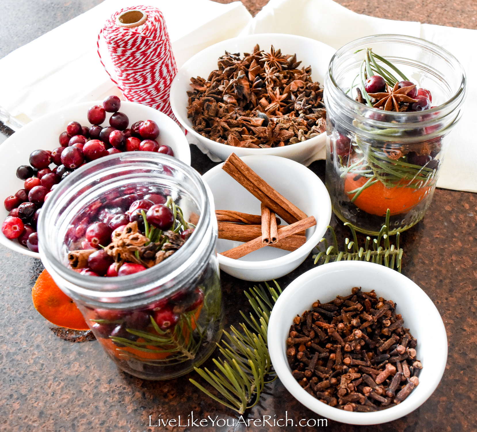 Holiday Stovetop Potpourri - Christmas Gifts For Neighbors!