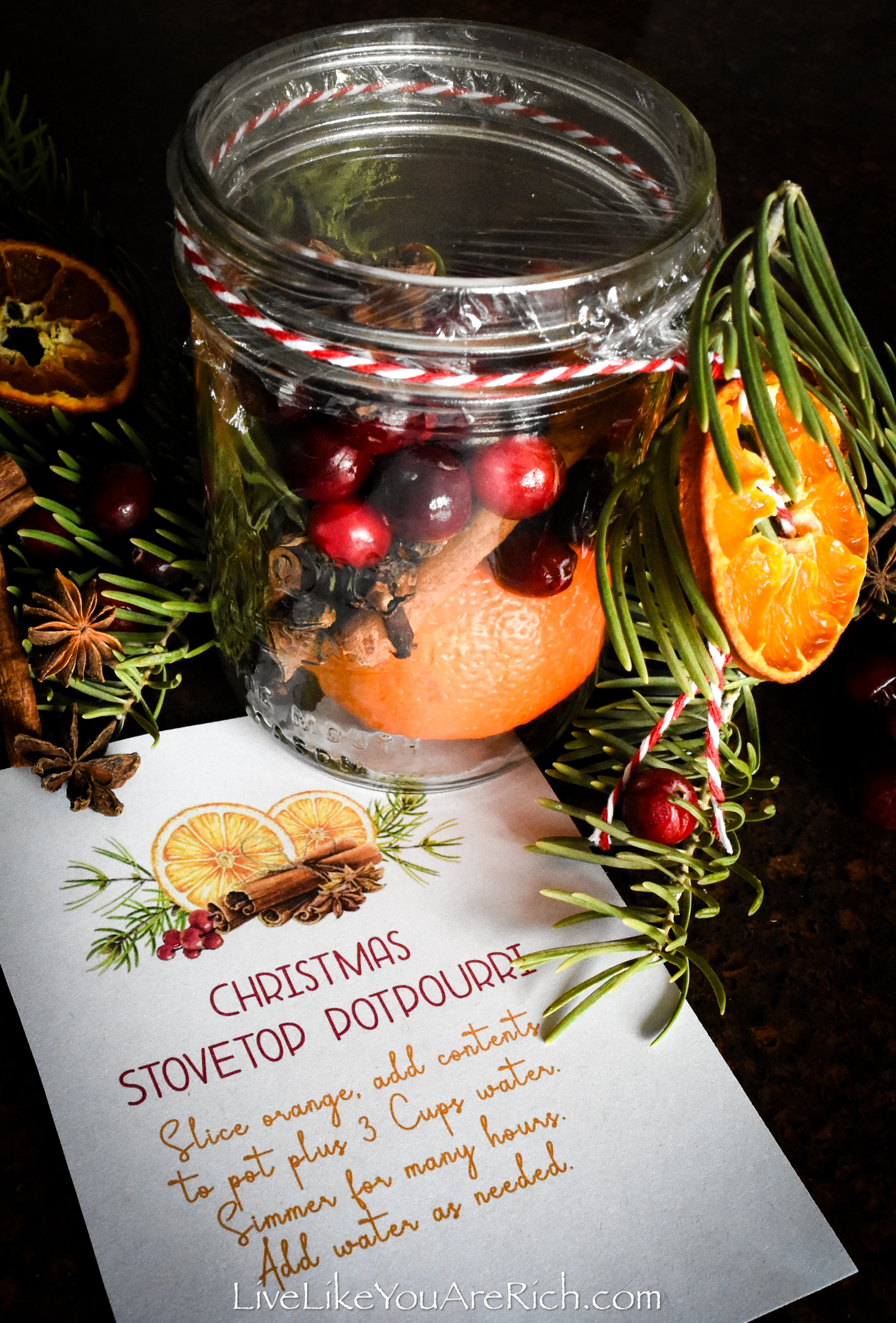 Christmas in a Jar: Stovetop Potpourri - Lovely Lucky Life