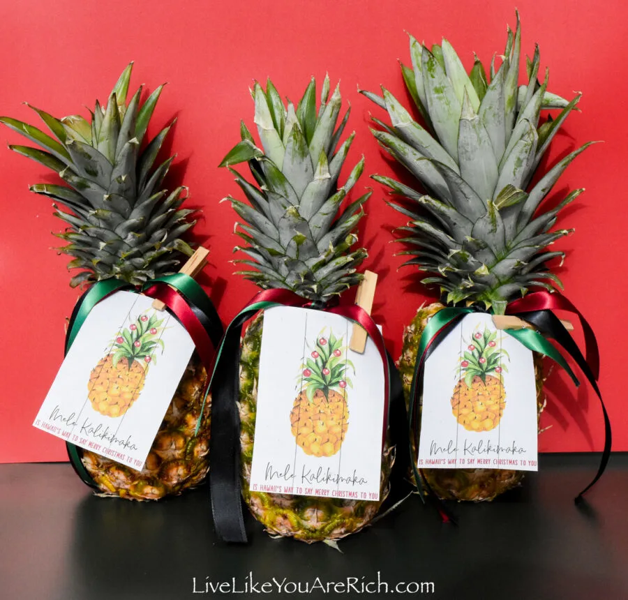 Neighbor Christmas Gift Pineapple with Free Printable