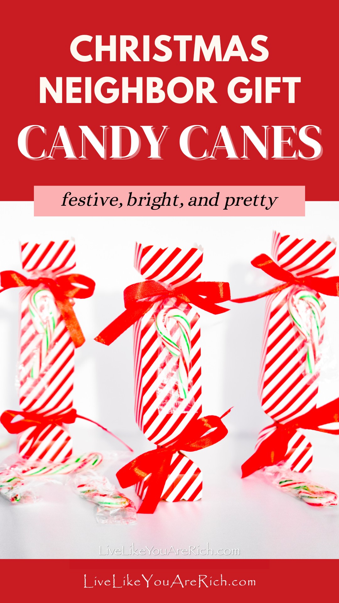 Neighbor Christmas Gift: Candy Canes