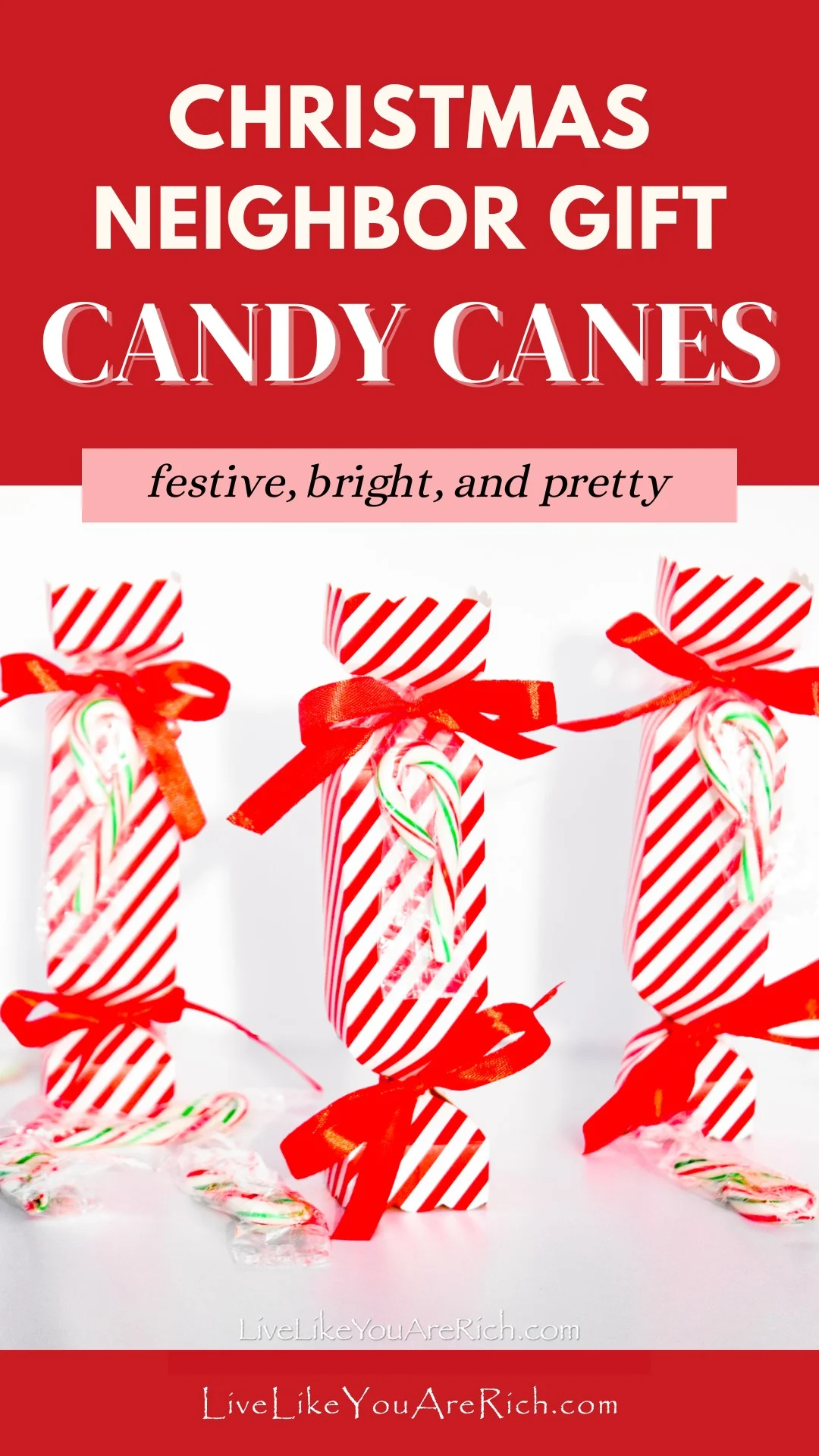 Neighbor Christmas Gift: Candy Canes