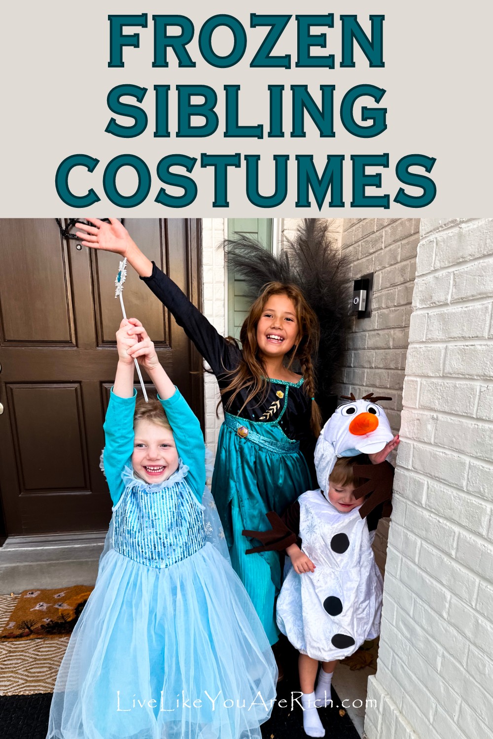 Frozen Sibling Costumes