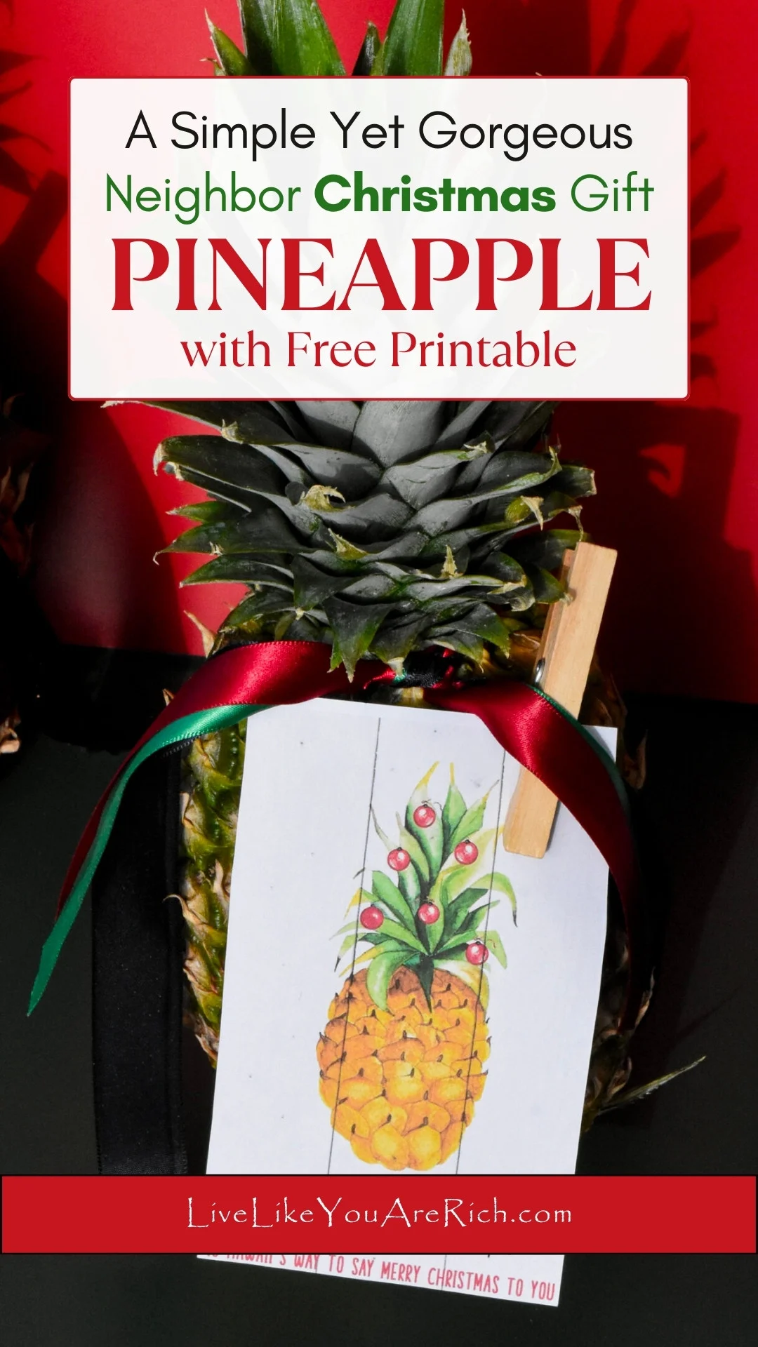 Neighbor Christmas Gift Pineapple with Free Printable