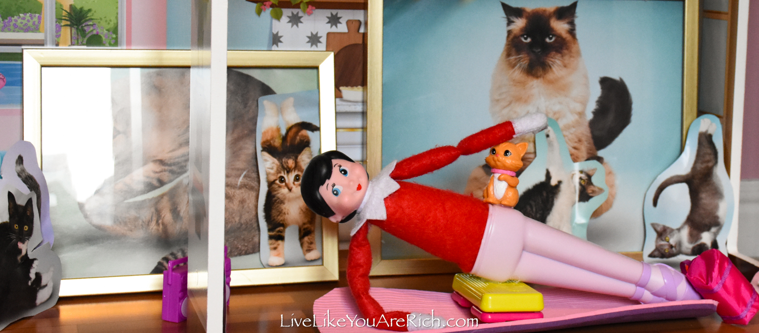 Elf on the Shelf: Kitty Cat Yoga