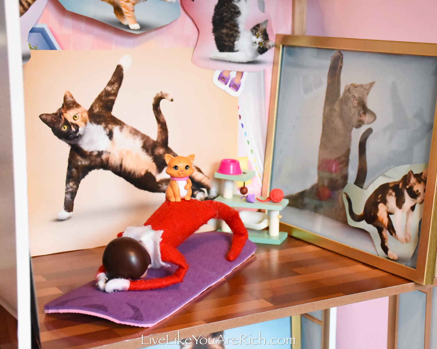 Elf on the Shelf: Kitty Cat Yoga