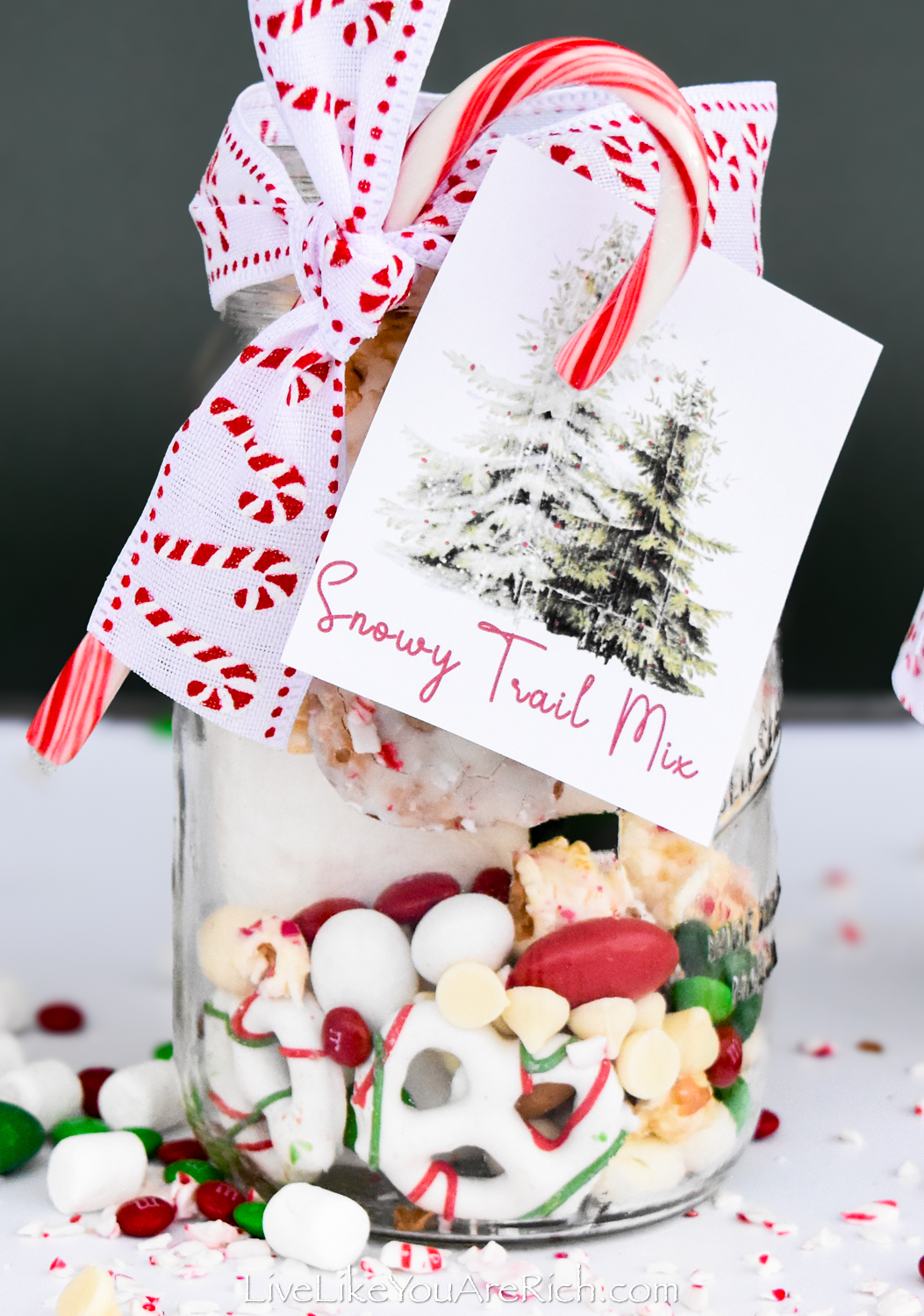 Neighbor Christmas Gift: Snowy Trail Mix Plus Free Printable